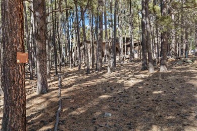 Opportunity knocks with this level, half-acre lot offering the on Angel Fire Resort Country Club in New Mexico - for sale on GolfHomes.com, golf home, golf lot