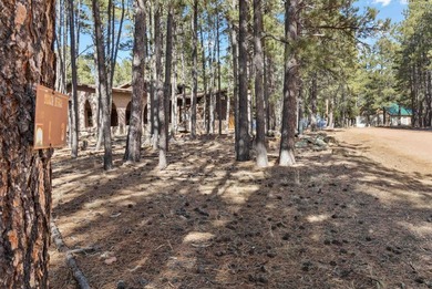Opportunity knocks with this level, half-acre lot offering the on Angel Fire Resort Country Club in New Mexico - for sale on GolfHomes.com, golf home, golf lot