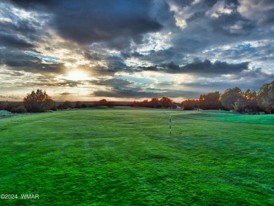 Gorgeous New Home on the Fairway! You will love the open concept on Silver Creek Golf Club in Arizona - for sale on GolfHomes.com, golf home, golf lot