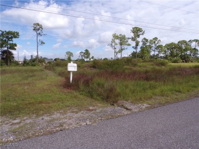Discover the perfect place to build your dream home on this on Del Tura Golf and Country Club in Florida - for sale on GolfHomes.com, golf home, golf lot