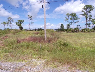Discover the perfect place to build your dream home on this on Del Tura Golf and Country Club in Florida - for sale on GolfHomes.com, golf home, golf lot