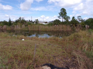 Discover the perfect place to build your dream home on this on Del Tura Golf and Country Club in Florida - for sale on GolfHomes.com, golf home, golf lot