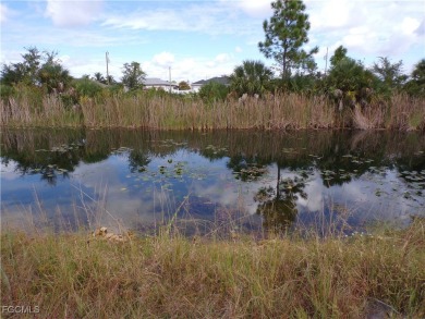 Discover the perfect place to build your dream home on this on Del Tura Golf and Country Club in Florida - for sale on GolfHomes.com, golf home, golf lot