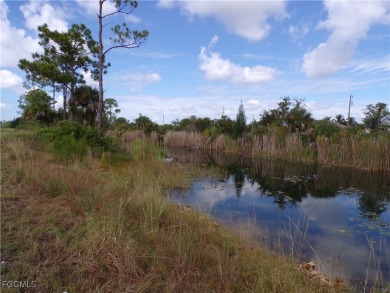 Discover the perfect place to build your dream home on this on Del Tura Golf and Country Club in Florida - for sale on GolfHomes.com, golf home, golf lot