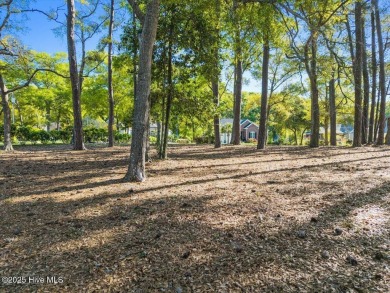 Rare and Unique with Stunning Panoramic Views! Sitting High & on Oyster Bay Golf Links in North Carolina - for sale on GolfHomes.com, golf home, golf lot