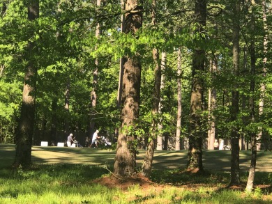 Cypress Landing Golf Course Lot overlooking #8 Tee Box and on Cypress Landing Golf Club in North Carolina - for sale on GolfHomes.com, golf home, golf lot