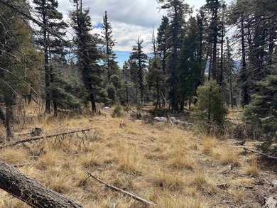 This is a wonderful lot with mature trees and a gentle slope on Angel Fire Resort Country Club in New Mexico - for sale on GolfHomes.com, golf home, golf lot