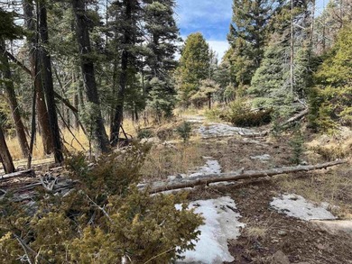 This is a wonderful lot with mature trees and a gentle slope on Angel Fire Resort Country Club in New Mexico - for sale on GolfHomes.com, golf home, golf lot
