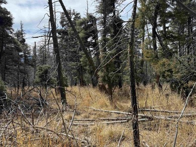 This is a wonderful lot with mature trees and a gentle slope on Angel Fire Resort Country Club in New Mexico - for sale on GolfHomes.com, golf home, golf lot