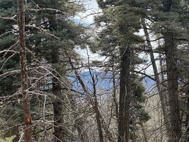 This is a wonderful lot with mature trees and a gentle slope on Angel Fire Resort Country Club in New Mexico - for sale on GolfHomes.com, golf home, golf lot