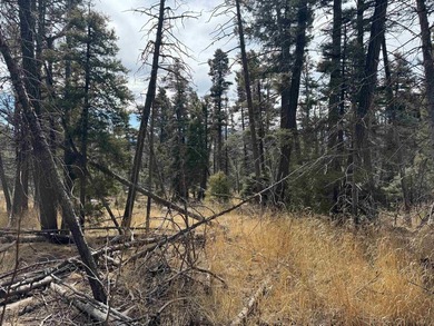 This is a wonderful lot with mature trees and a gentle slope on Angel Fire Resort Country Club in New Mexico - for sale on GolfHomes.com, golf home, golf lot