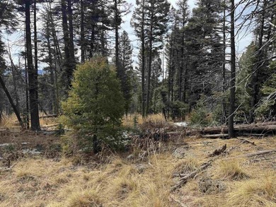 This is a wonderful lot with mature trees and a gentle slope on Angel Fire Resort Country Club in New Mexico - for sale on GolfHomes.com, golf home, golf lot