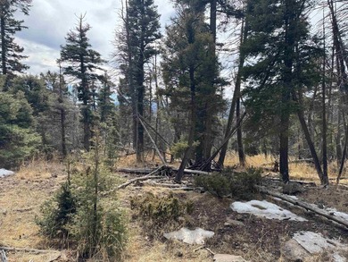 This is a wonderful lot with mature trees and a gentle slope on Angel Fire Resort Country Club in New Mexico - for sale on GolfHomes.com, golf home, golf lot