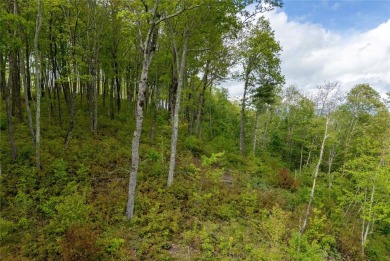 Bring your plans because this lot is ready for your new home! on Natures Walk At Chinquapin in North Carolina - for sale on GolfHomes.com, golf home, golf lot