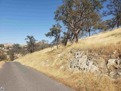 Nice gently tapered lot with a view of the local Golf Course on Lake Don Pedro Golf Course in California - for sale on GolfHomes.com, golf home, golf lot