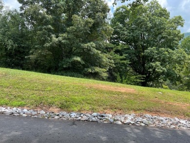 Welcome to Mountain Harbour! Discover the ultimate blend of on Chatuge Shores Golf Course in North Carolina - for sale on GolfHomes.com, golf home, golf lot