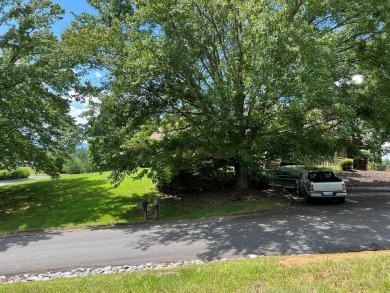 Welcome to Mountain Harbour! Discover the ultimate blend of on Chatuge Shores Golf Course in North Carolina - for sale on GolfHomes.com, golf home, golf lot