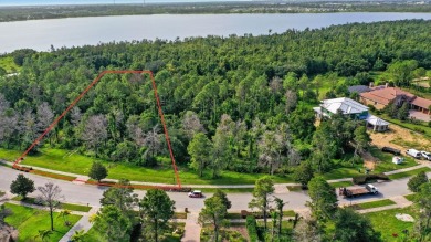 Tucked away on an OVERSIZED 1.65-acre wooded lot, this homesite on Bella Collina Golf Club in Florida - for sale on GolfHomes.com, golf home, golf lot