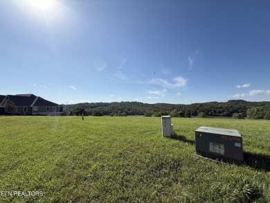 This is a very rare find in Tennessee National - up for sale is on Tennessee National Golf Club in Tennessee - for sale on GolfHomes.com, golf home, golf lot