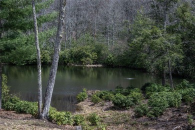 Build your dream cottage overlooking Chinquapin's Tulip Pond! on Natures Walk At Chinquapin in North Carolina - for sale on GolfHomes.com, golf home, golf lot