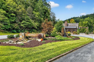 Discover luxury mountain living at its finest in this on Brights Creek Golf Course in North Carolina - for sale on GolfHomes.com, golf home, golf lot