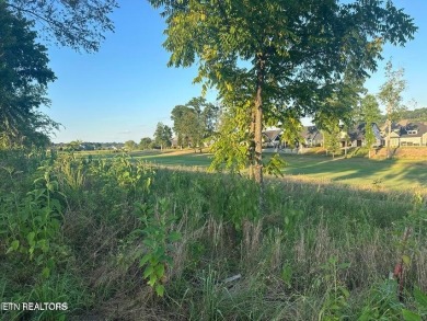 THIS IS THE VIEW! Experience the stunning view of #15 Green at on Tennessee National Golf Club in Tennessee - for sale on GolfHomes.com, golf home, golf lot