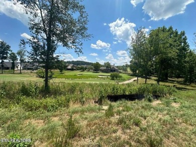 THIS IS THE VIEW! Experience the stunning view of #15 Green at on Tennessee National Golf Club in Tennessee - for sale on GolfHomes.com, golf home, golf lot