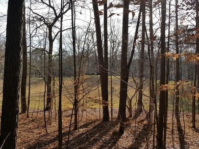 104 Hawks CT |LOT 67 |Ball Ground, GA |Hawks Ridge Golf Club|1 on Hawks Ridge Golf Club in Georgia - for sale on GolfHomes.com, golf home, golf lot