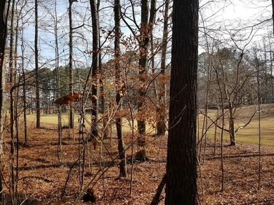 104 Hawks CT |LOT 67 |Ball Ground, GA |Hawks Ridge Golf Club|1 on Hawks Ridge Golf Club in Georgia - for sale on GolfHomes.com, golf home, golf lot
