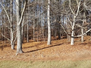 104 Hawks CT |LOT 67 |Ball Ground, GA |Hawks Ridge Golf Club|1 on Hawks Ridge Golf Club in Georgia - for sale on GolfHomes.com, golf home, golf lot