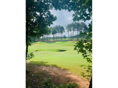 Build your dream home in the prestigious Hawks Ridge Golf Club on Hawks Ridge Golf Club in Georgia - for sale on GolfHomes.com, golf home, golf lot