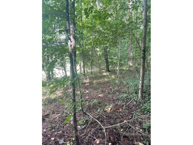 Build your dream home in the prestigious Hawks Ridge Golf Club on Hawks Ridge Golf Club in Georgia - for sale on GolfHomes.com, golf home, golf lot