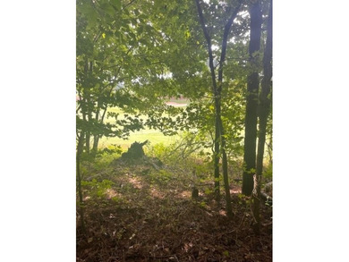 Build your dream home in the prestigious Hawks Ridge Golf Club on Hawks Ridge Golf Club in Georgia - for sale on GolfHomes.com, golf home, golf lot