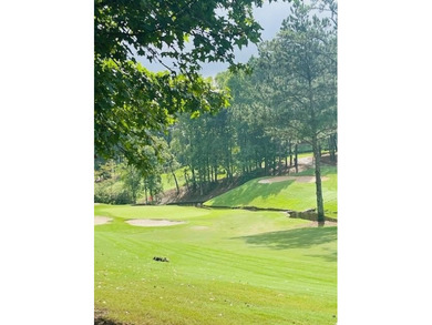 Build your dream home in the prestigious Hawks Ridge Golf Club on Hawks Ridge Golf Club in Georgia - for sale on GolfHomes.com, golf home, golf lot