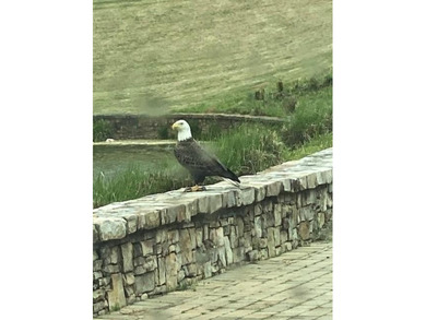 Build your dream home in the prestigious Hawks Ridge Golf Club on Hawks Ridge Golf Club in Georgia - for sale on GolfHomes.com, golf home, golf lot