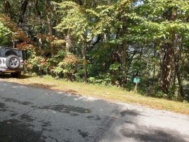 Good mountain view from this wooded lot in Sky Valley Country on Sky Valley Resort and Country Club in Georgia - for sale on GolfHomes.com, golf home, golf lot