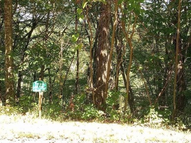 Good mountain view from this wooded lot in Sky Valley Country on Sky Valley Resort and Country Club in Georgia - for sale on GolfHomes.com, golf home, golf lot