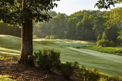 Tucked away at the end of a quiet cul-de-sac, Lot 72 at 124 on Hawks Ridge Golf Club in Georgia - for sale on GolfHomes.com, golf home, golf lot
