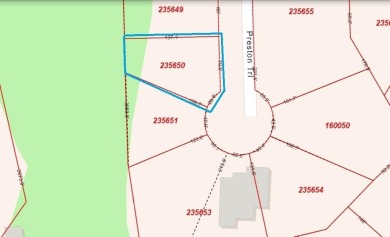 Build your dream home or invest on this premium lot location! on White Bluff Resort - Old Course in Texas - for sale on GolfHomes.com, golf home, golf lot