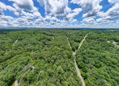 Imagine building your getaway in a quiet, wooded setting just on Lake Tansi Village Country Club in Tennessee - for sale on GolfHomes.com, golf home, golf lot