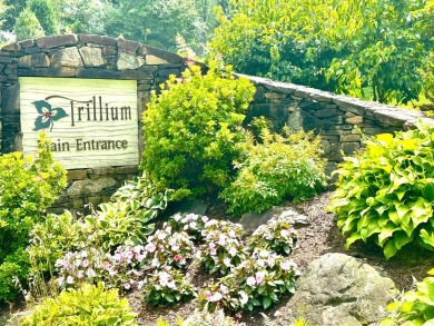*Nestled in the heart of the prestigious Trillium Links and Lake on Trillium Links in North Carolina - for sale on GolfHomes.com, golf home, golf lot
