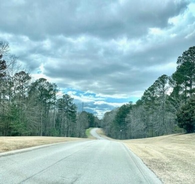 Welcome to your dream location! This breathtaking lot, nestled on Mount Vintage Plantation and Golf Club  in South Carolina - for sale on GolfHomes.com, golf home, golf lot