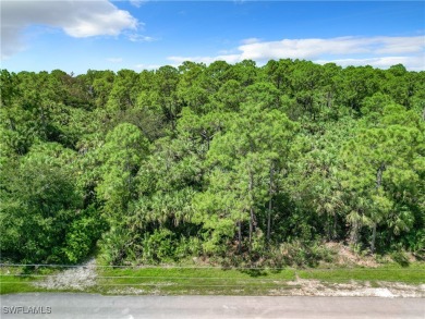 Rare opportunity to own 5 acres in one of Naples' most on The Club At Twin Eagles in Florida - for sale on GolfHomes.com, golf home, golf lot