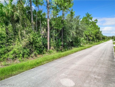 Rare opportunity to own 5 acres in one of Naples' most on The Club At Twin Eagles in Florida - for sale on GolfHomes.com, golf home, golf lot