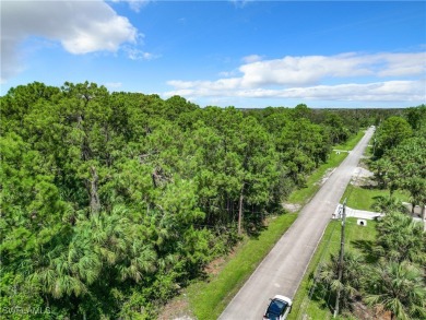 Rare opportunity to own 5 acres in one of Naples' most on The Club At Twin Eagles in Florida - for sale on GolfHomes.com, golf home, golf lot