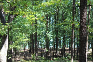 Beautiful LAKEFRONT lot Miller Point. This lot has a good low on Red Apple Inn and Country Club in Arkansas - for sale on GolfHomes.com, golf home, golf lot