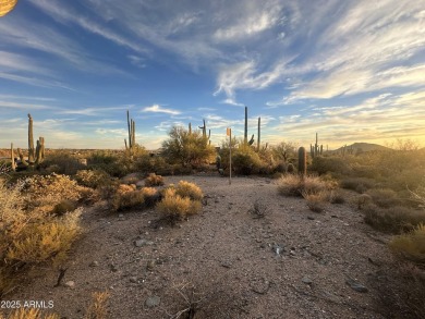 If you have been waiting for a great DM lot to become available on Desert Mountain Club - Apache Golf Course in Arizona - for sale on GolfHomes.com, golf home, golf lot