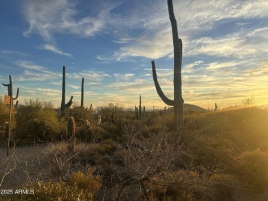 If you have been waiting for a great DM lot to become available on Desert Mountain Club - Apache Golf Course in Arizona - for sale on GolfHomes.com, golf home, golf lot