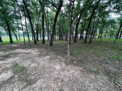 PRICE REDUCED - Incredible Opportunity on the Lake! Exceptional on Pinnacle Golf and Boat Club in Texas - for sale on GolfHomes.com, golf home, golf lot