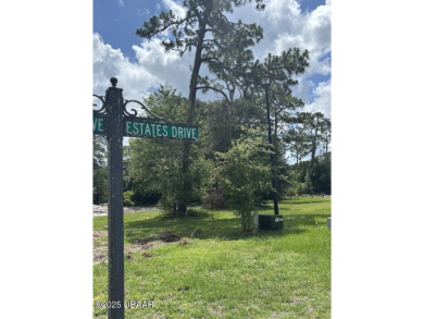 Don't miss your opportunity to build your home in the Beautiful on Palatka Golf Club in Florida - for sale on GolfHomes.com, golf home, golf lot